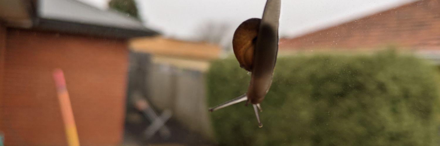 PointZeroOne's profile banner image