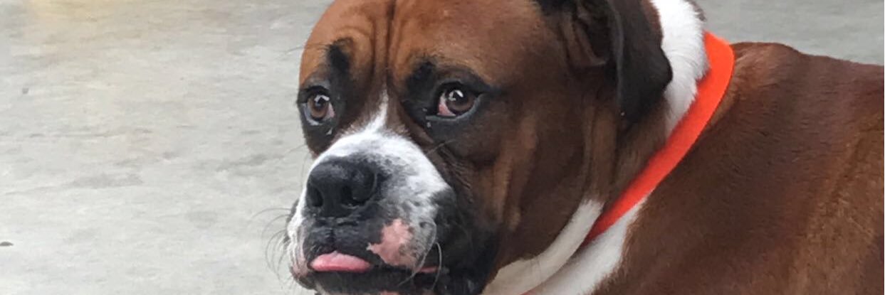 SoberRoger's profile banner image