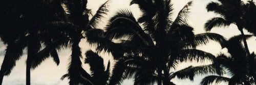 ODxFelicia's profile banner image