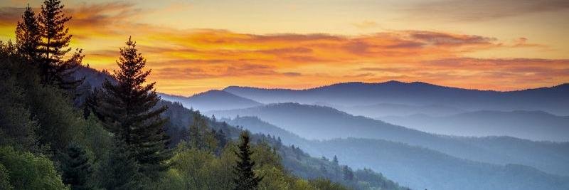 Ted Alexander banner