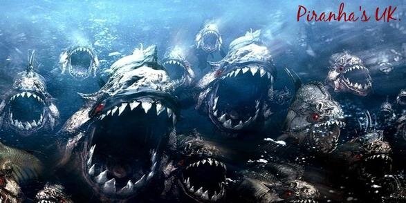 PiranhasUK's profile banner image