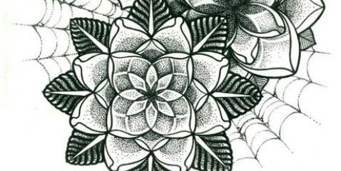 colocolitoooooo's profile banner image