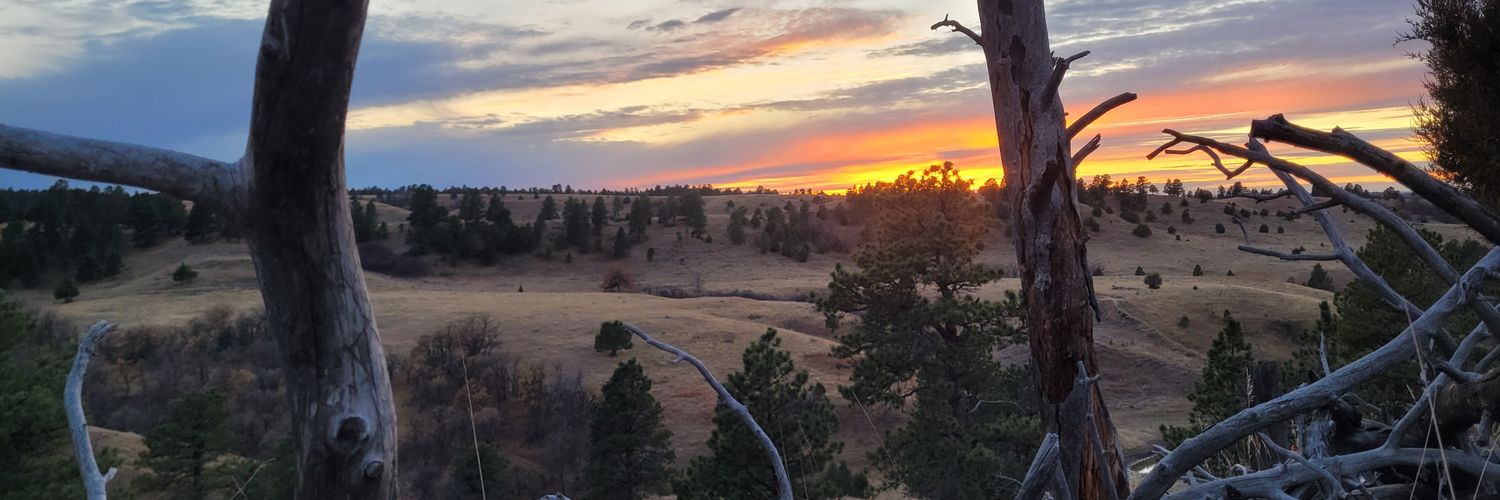 matt_express_'s profile banner image
