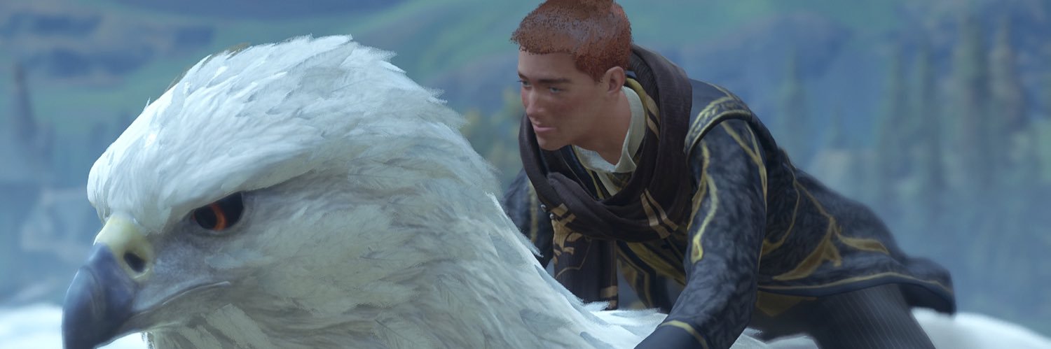 StormCall3r's profile banner image
