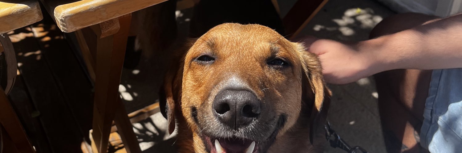 camiacostaff's profile banner image