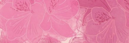 .🩷. banner