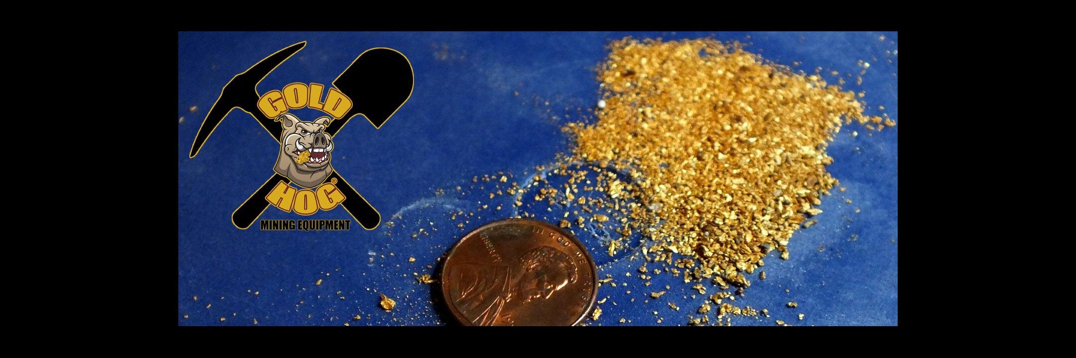 thegoldhog's profile banner image
