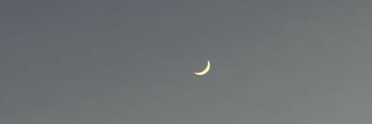 solocarolmp3's profile banner image