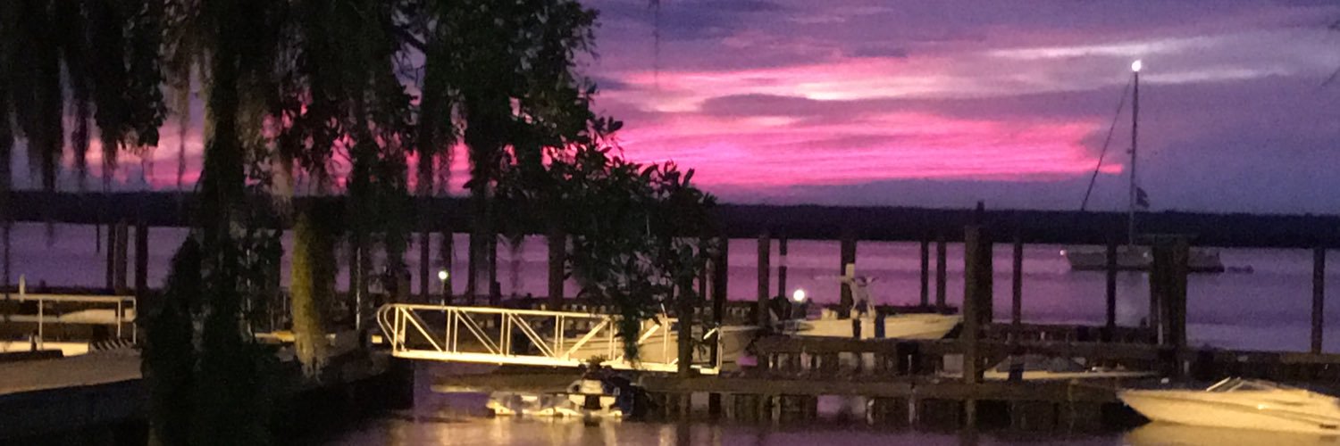 lisablively's profile banner image