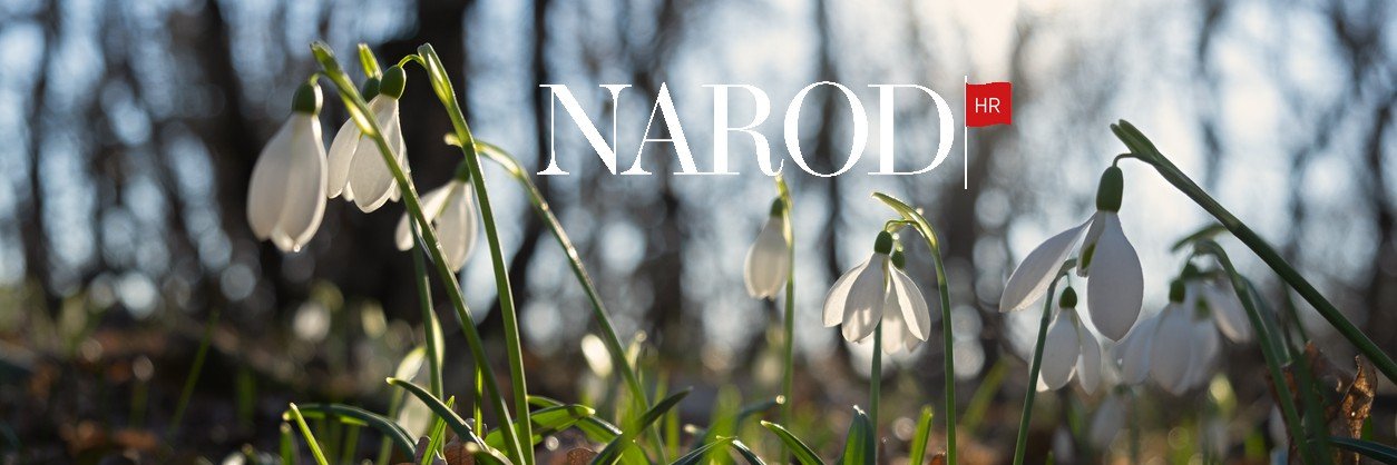 Narod.hr banner