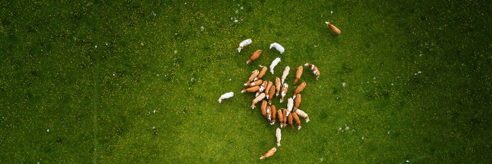 Mick W@tson ↙️ banner