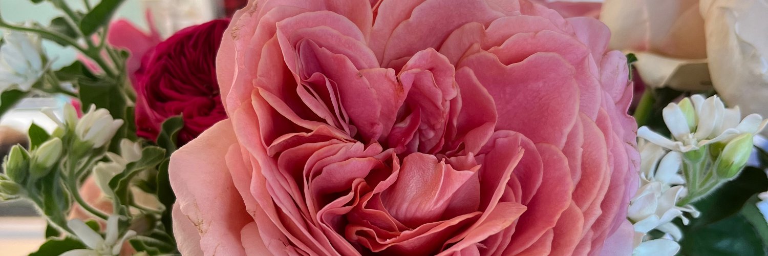 JRMatsuda's profile banner image