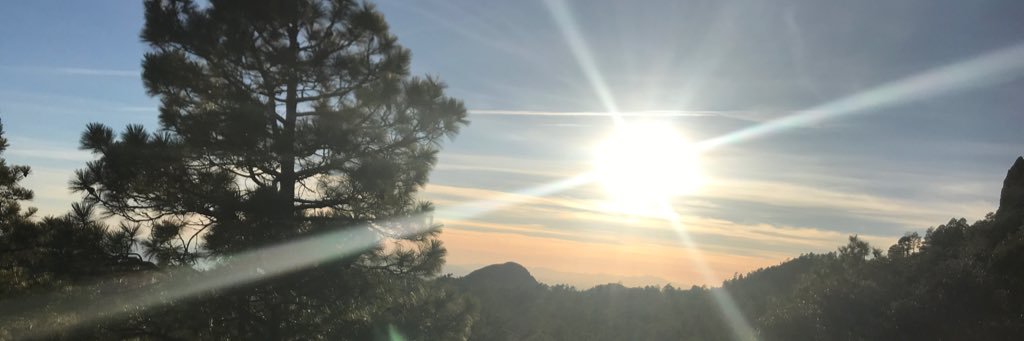 AlexandraSarahS's profile banner image