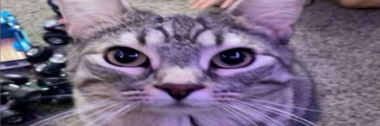 Zoltekka's profile banner image
