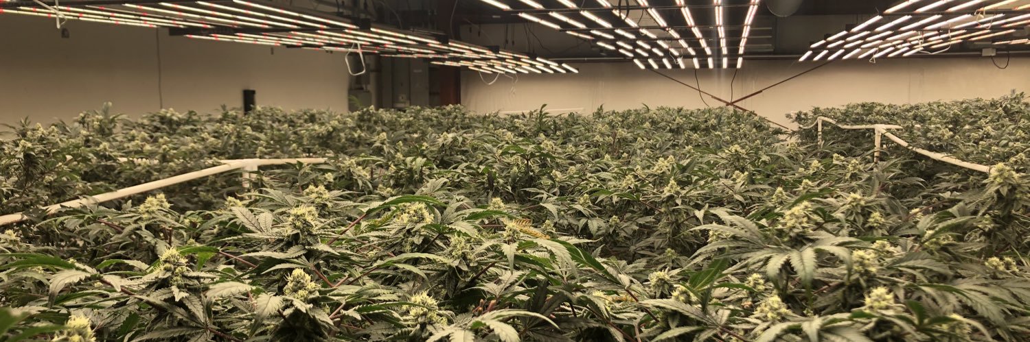 GreenPharms banner