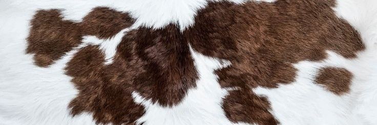 Geor 🐎 banner