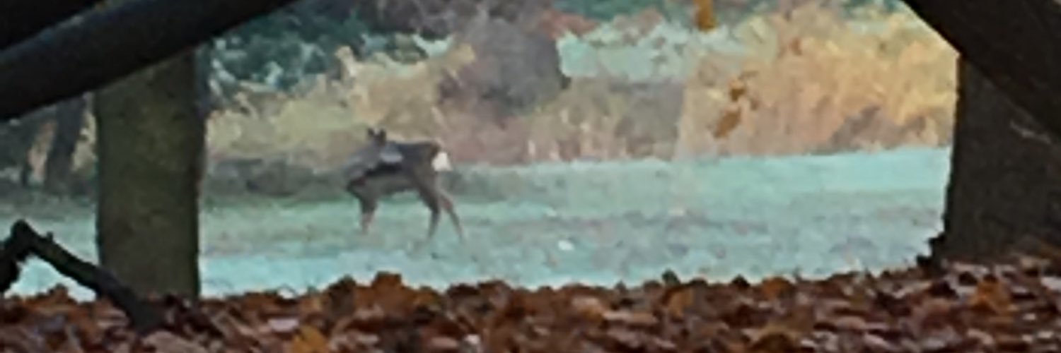 wiegmanslj's profile banner image