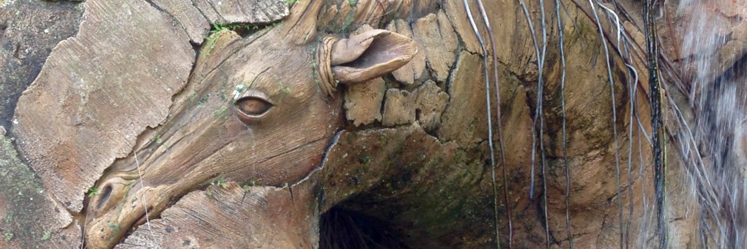 SteadmanAmy's profile banner image