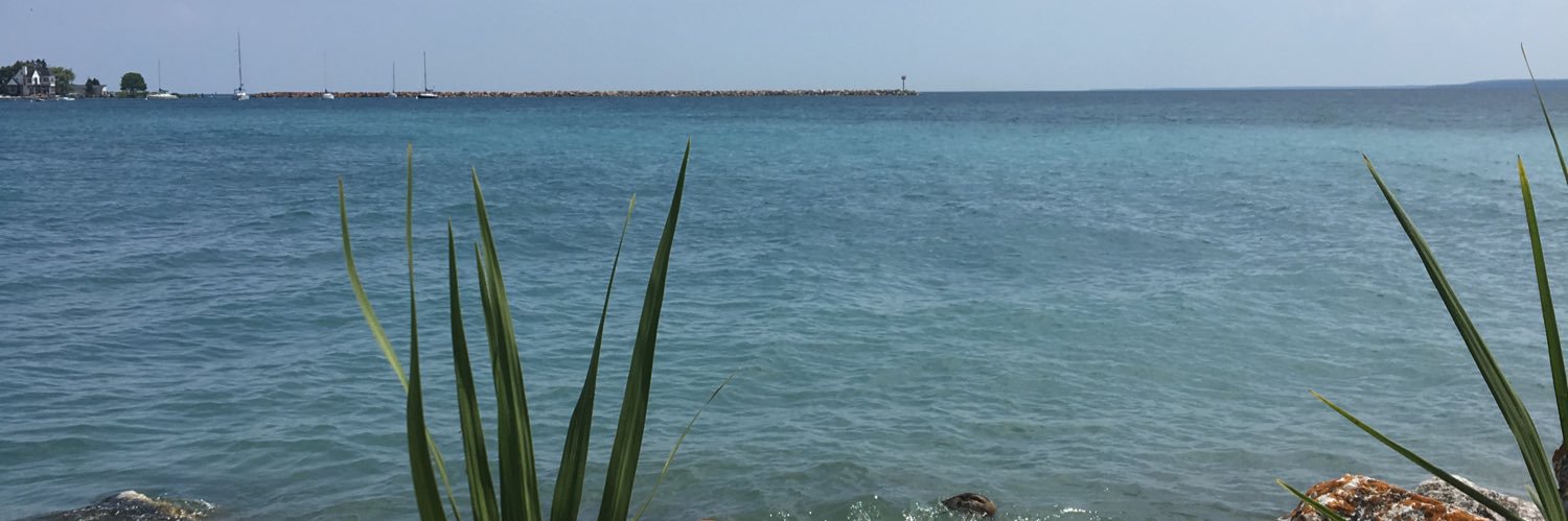 R. Maben-Feaster, MD banner