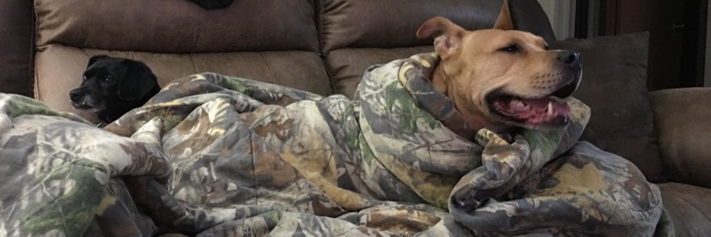 AmandaBankard's profile banner image