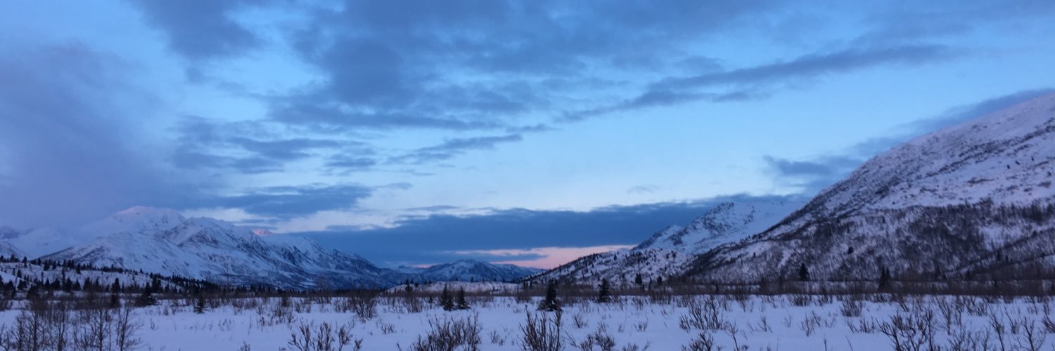 NickLittell's profile banner image