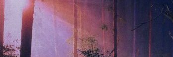 cc_limonata's profile banner image
