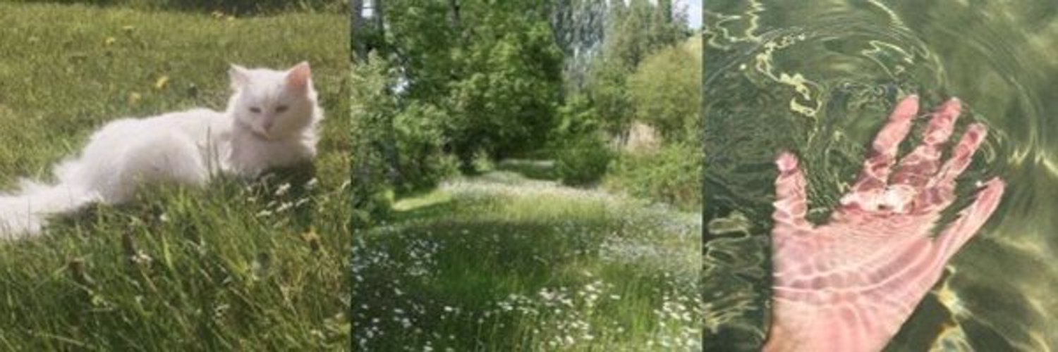 jplundgren's profile banner image