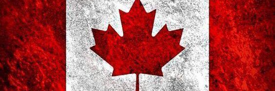 🇨🇦 Jack Logic 🇨🇦 banner