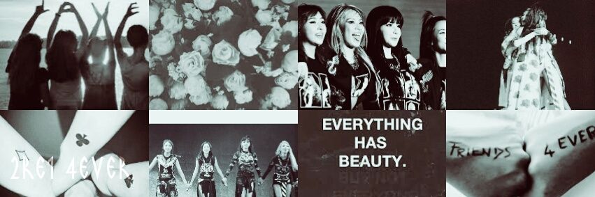 chaexlincl's profile banner image