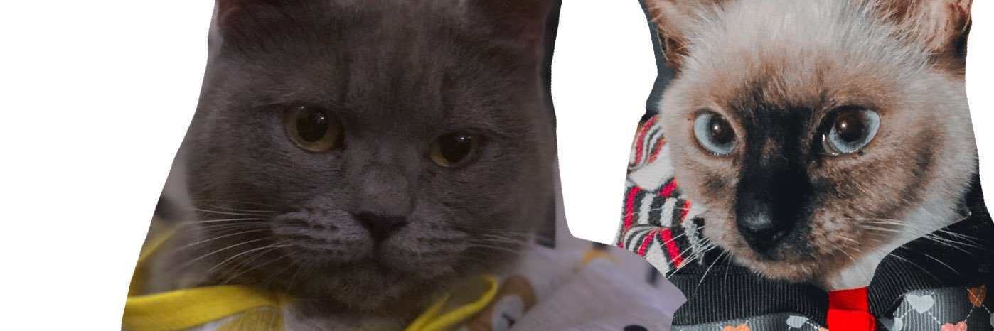 not_arghen's profile banner image