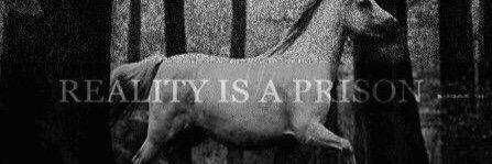 Twalk7142's profile banner image