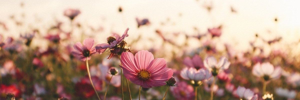 justkrissy19's profile banner image