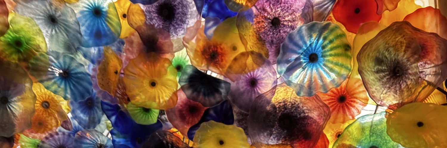junosunshine's profile banner image