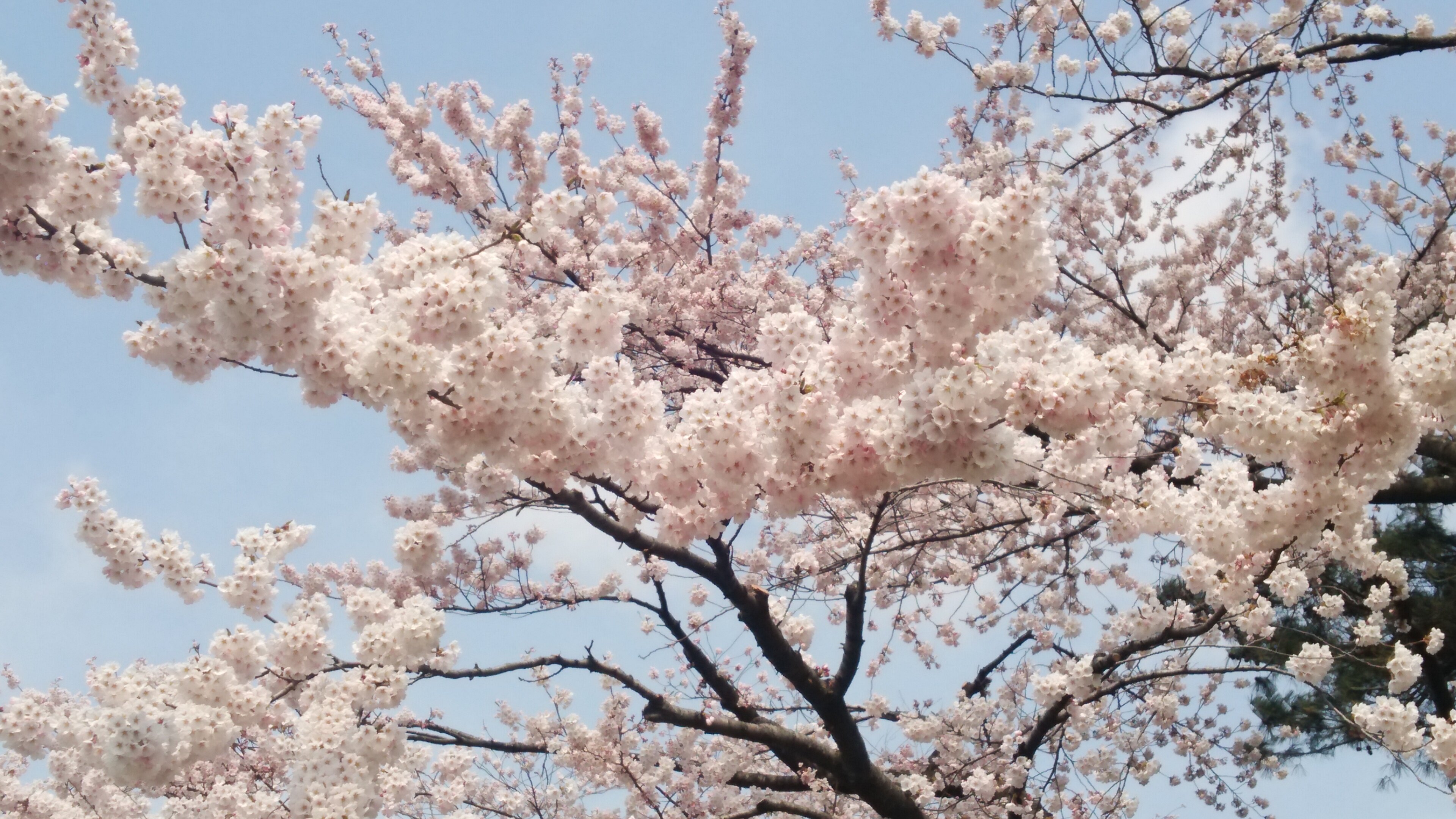 riezo0620's profile banner image