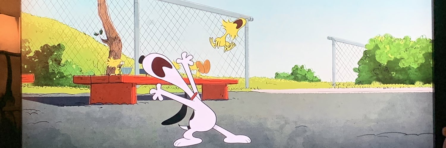 riokitty's profile banner image