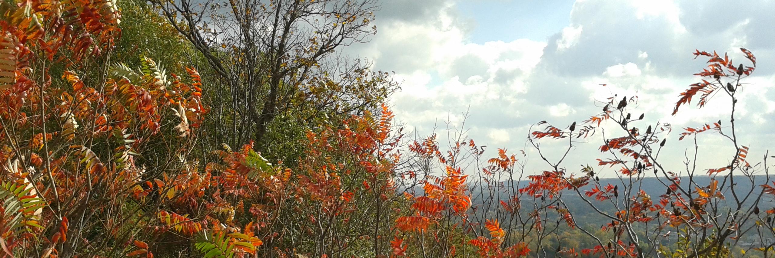 AmitSikder2's profile banner image