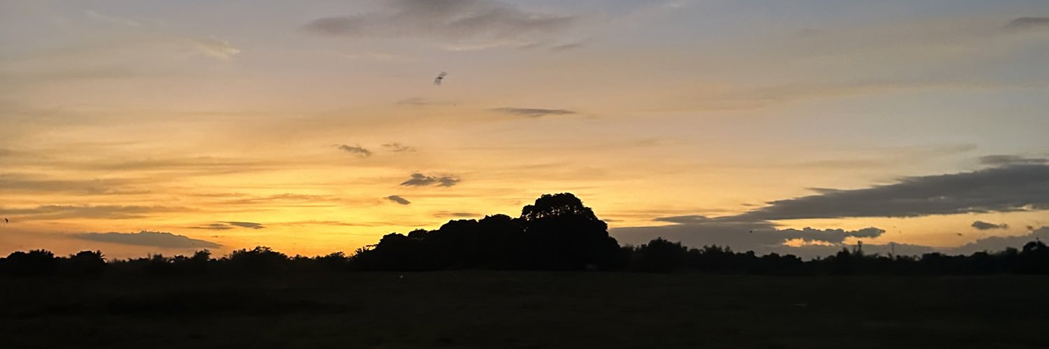 iamsofiaaandre's profile banner image