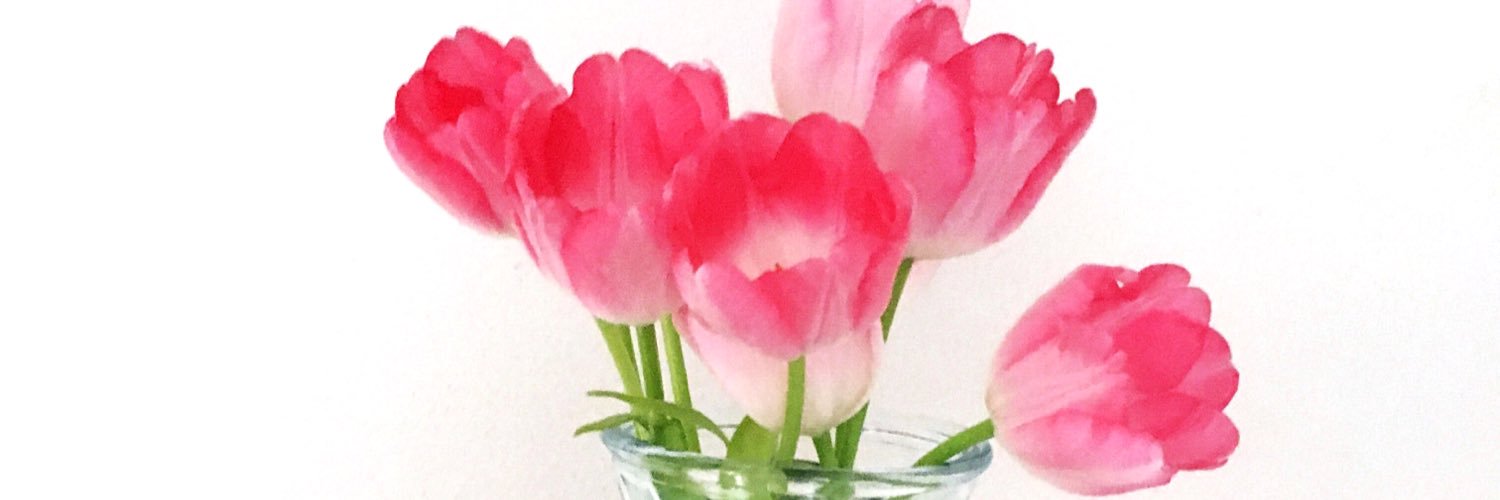 __hallie's profile banner image