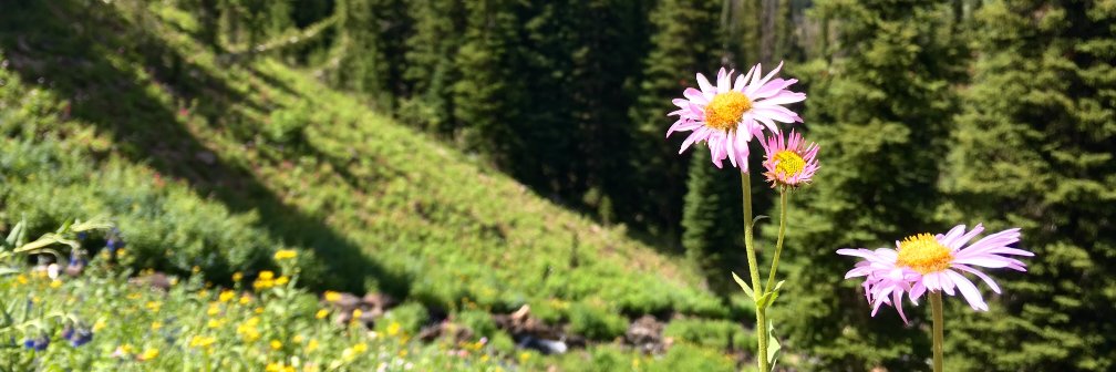 IsabellaM_bcds's profile banner image