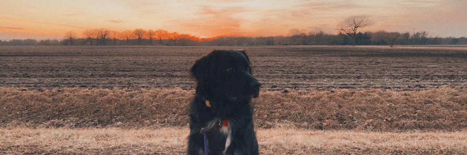 h2_1998's profile banner image
