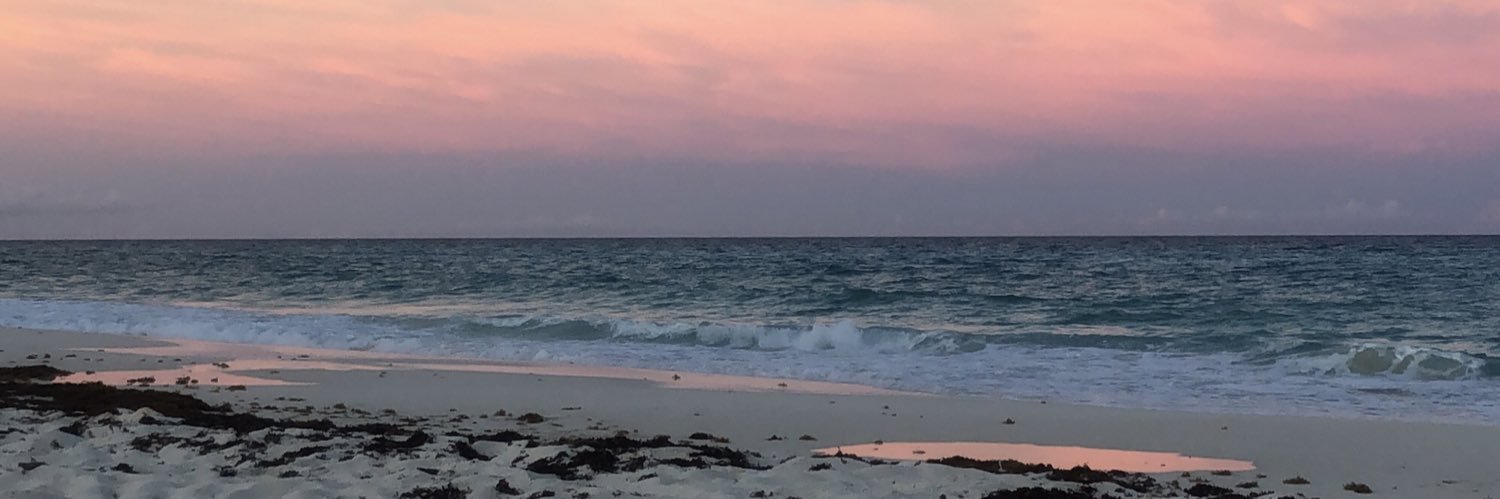 jijadelmar's profile banner image