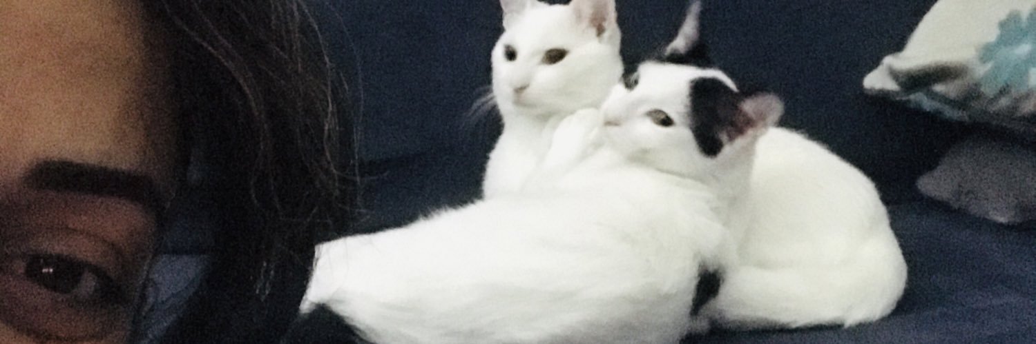 birsenkullak's profile banner image