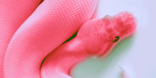 aryslmrn's profile banner image