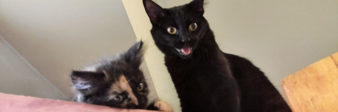 defrancx's profile banner image