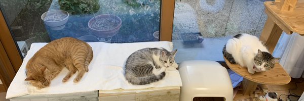 dbcwr697 Profile Banner