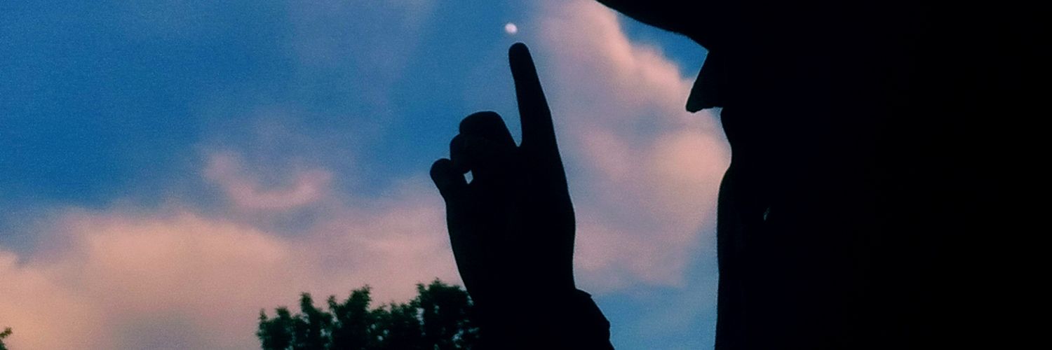 WildAmans's profile banner image