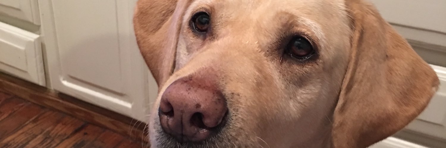 BullrichJorge's profile banner image