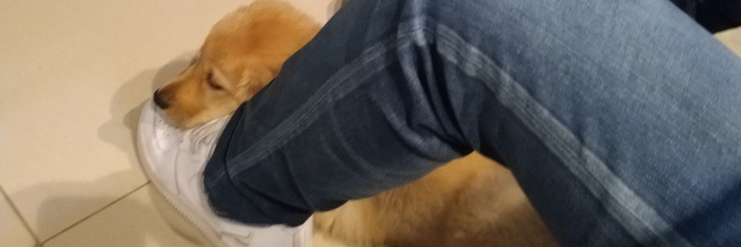 AlejandroM0reno's profile banner image
