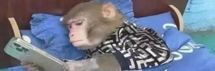 deeps 🏳️‍⚧️🇵🇸 banner