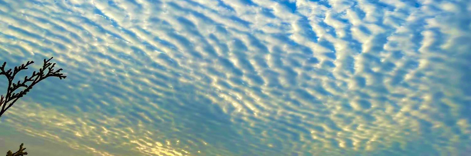 left1997's profile banner image
